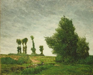 Paysage avec peupliers