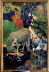 Le cheval blanc