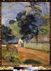Paysage, un cheval sur la route