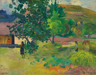 Te Fare (La maison)