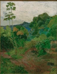 Paysage tropical