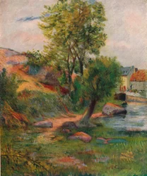 Saule près de l
