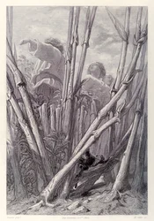 Gulliver voit des ouvriers agricoles aussi hauts que des clochers et se cache dans un champ de blé, de l