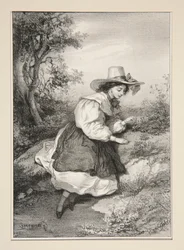 Les deux pâquerettes