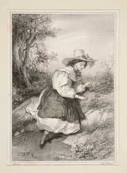 Les deux pâquerettes