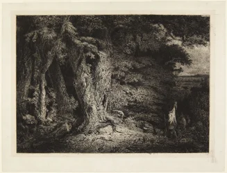 Entrée de forêt, ou Le Fourré
