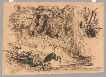 Piscine forestière avec héron