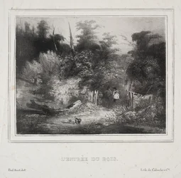 Paysages : L