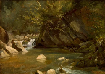 Ruisseau forestier