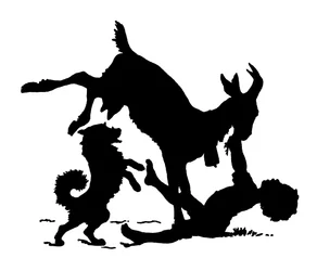 Silhouette