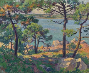 Pins sur la rivière Trieux