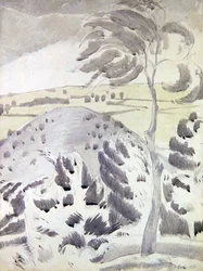 Colline et arbre