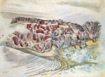 Paysage
