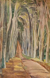 Forêt de Savernake