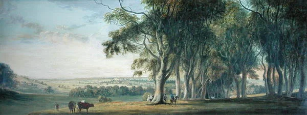 Vue de Windsor, depuis Snow Hill dans le Grand Parc