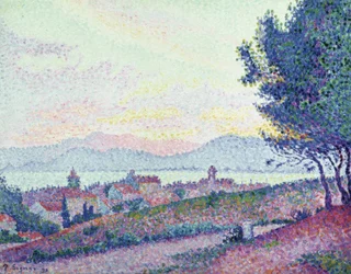 Saint Tropez – Forêt de pins