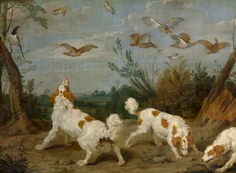 Chasse à la perdrix