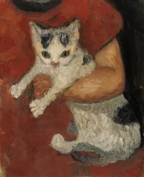 Chat dans le bras d