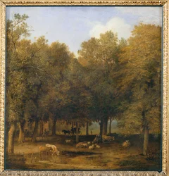 Le Bois de La Haye. 1650 …