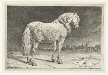 Le cheval frison (Paarden)