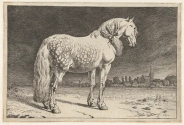 Le cheval frison