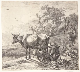 Le bouvier