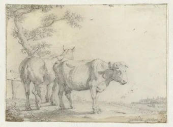 Cheval et une vache près d
