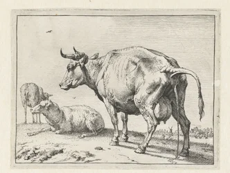 Vache urinant