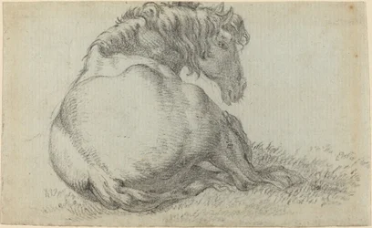 Cheval au repos