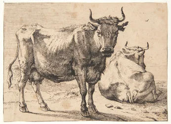 Vache debout et couchée
