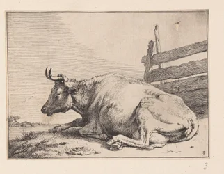 La vache couchée près d