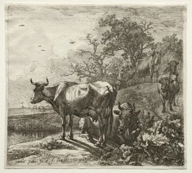 Le vacher