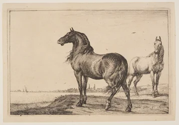 Le cheval croisé, tiré de la série des chevaux