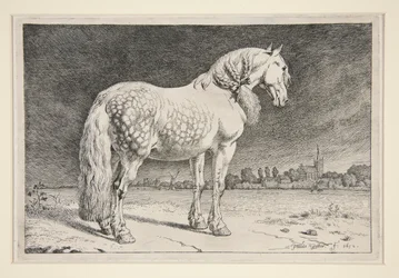 Le cheval frison