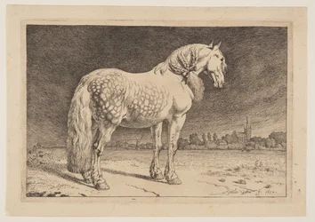 Le cheval frison, extrait de la série des chevaux