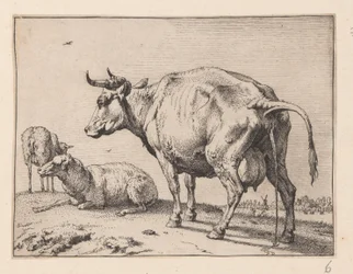 La vache qui pisse, de divers bœufs et vaches
