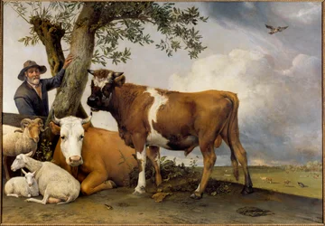 Le jeune taureau. Un berger et son bétail : bélier, agneau, vache et taureau. Peinture de Paul Potter (1625-1654), 1647. Toile. 2,36 x 3,39 m. La Haye, Mauritshuis.