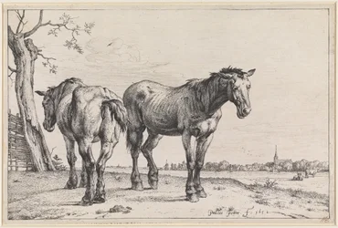 Deux chevaux de labour