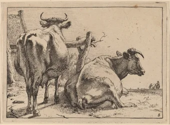 Deux vaches vues de dos
