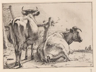 Deux vaches vues de derrière, de divers bœufs et vaches