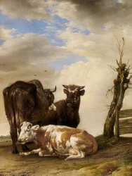 Deux vaches et un jeune taureau près d