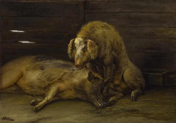 Deux cochons dans une porcherie