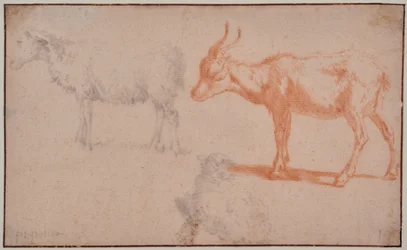 Deux moutons et une chèvre (études d
