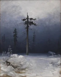 Arbre dans une forêt hivernale