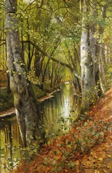 Paysage fluvial boisé