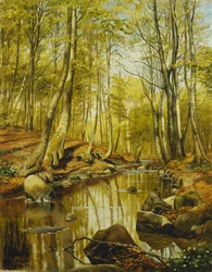Paysage fluvial boisé