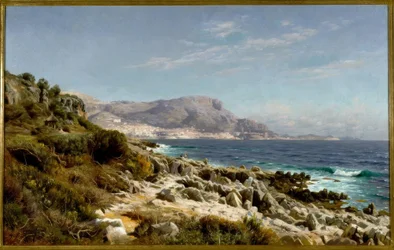 Côte près de Monte-Carlo