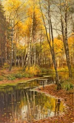P. Mönsted, forêt de bouleaux dans la lumière d