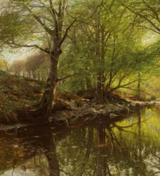 Ruisseau forestier au printemps