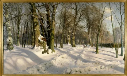 Forêt hivernale enneigée au soleil